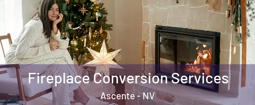 Fireplace Conversion Services Ascente - NV