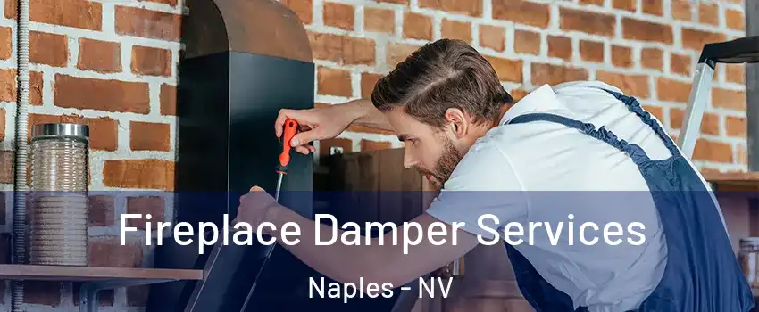 Fireplace Damper Services Naples - NV