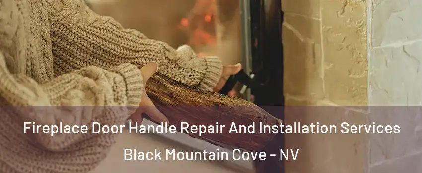 Fireplace Door Handle Repair And Installation Services Black Mountain Cove - NV