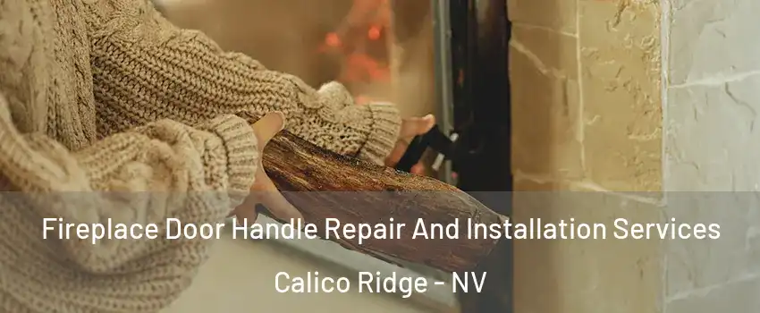 Fireplace Door Handle Repair And Installation Services Calico Ridge - NV