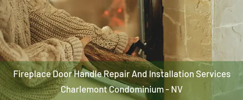 Fireplace Door Handle Repair And Installation Services Charlemont Condominium - NV