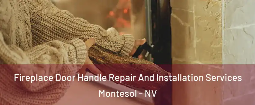 Fireplace Door Handle Repair And Installation Services Montesol - NV