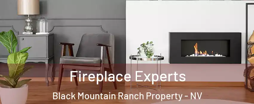 Fireplace Experts Black Mountain Ranch Property - NV