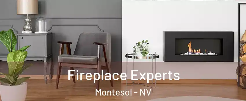 Fireplace Experts Montesol - NV