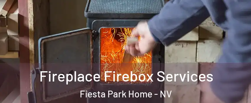 Fireplace Firebox Services Fiesta Park Home - NV