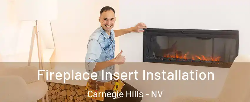 Fireplace Insert Installation Carnegie Hills - NV