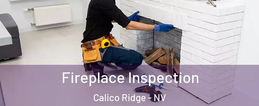 Fireplace Inspection Calico Ridge - NV