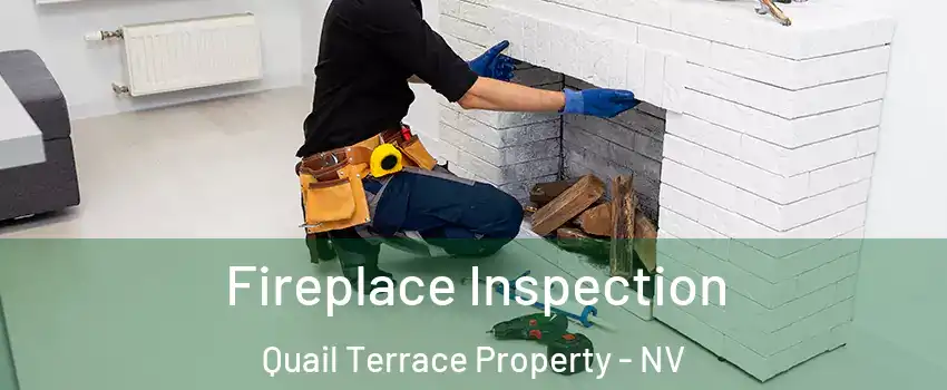 Fireplace Inspection Quail Terrace Property - NV