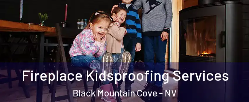 Fireplace Kidsproofing Services Black Mountain Cove - NV