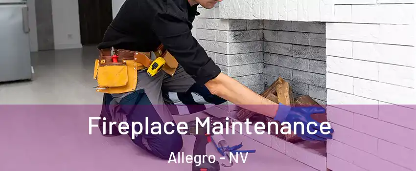 Fireplace Maintenance Allegro - NV