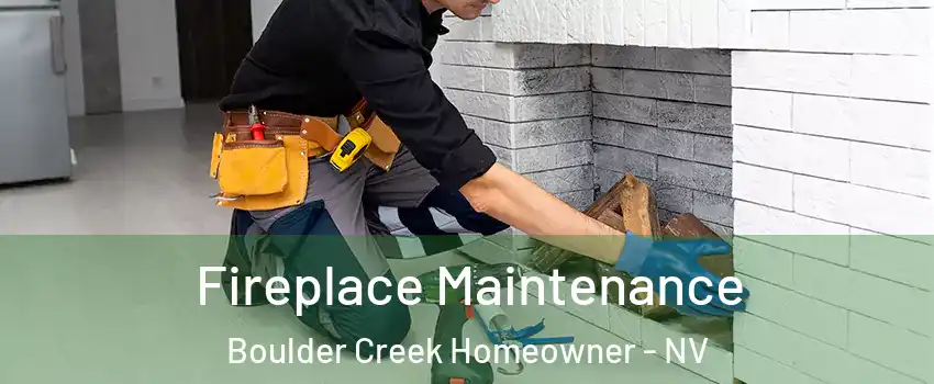 Fireplace Maintenance Boulder Creek Homeowner - NV