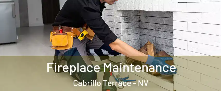 Fireplace Maintenance Cabrillo Terrace - NV