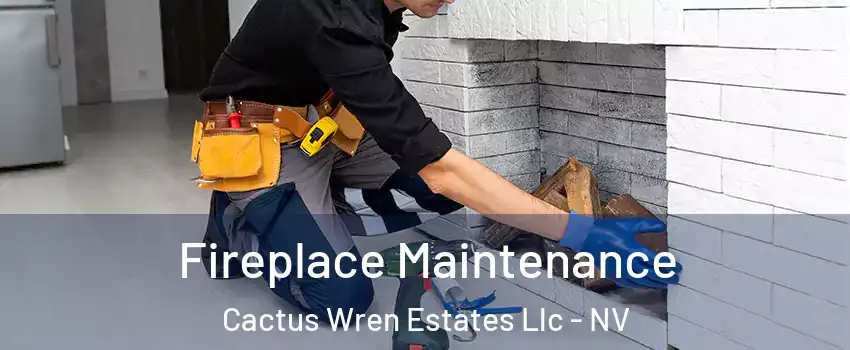 Fireplace Maintenance Cactus Wren Estates Llc - NV