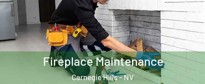 Fireplace Maintenance Carnegie Hills - NV