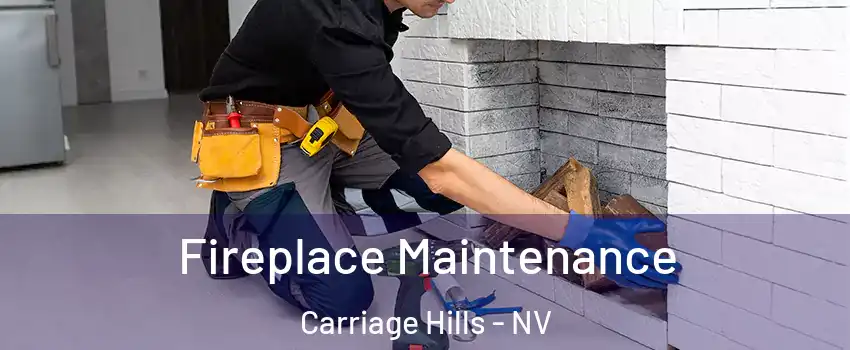 Fireplace Maintenance Carriage Hills - NV