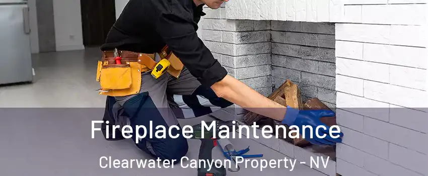 Fireplace Maintenance Clearwater Canyon Property - NV