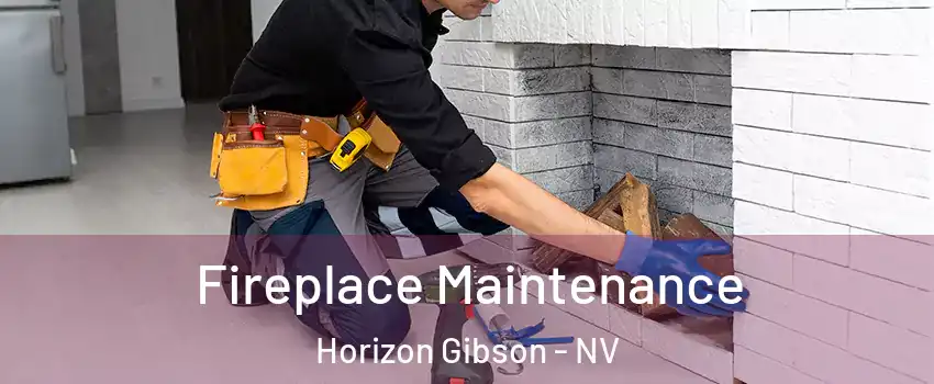 Fireplace Maintenance Horizon Gibson - NV