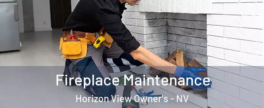 Fireplace Maintenance Horizon View Owner's - NV