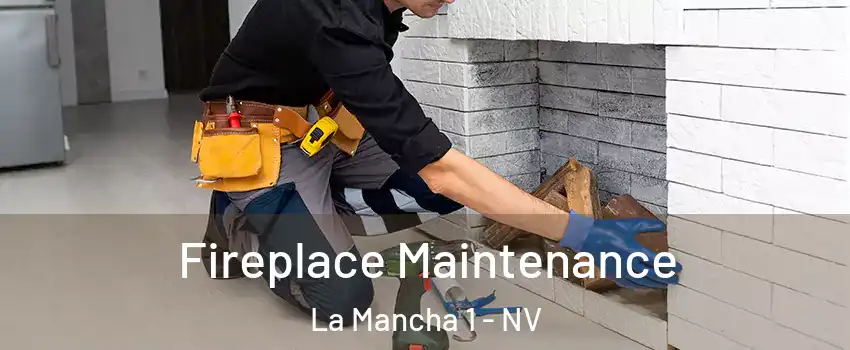 Fireplace Maintenance La Mancha 1 - NV