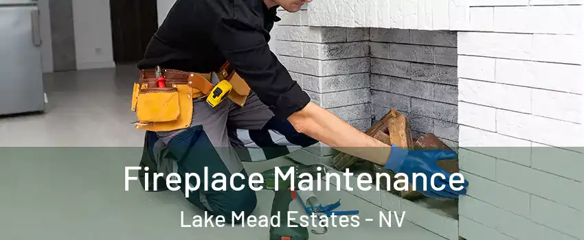 Fireplace Maintenance Lake Mead Estates - NV