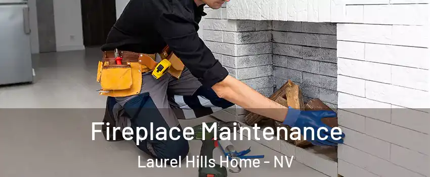 Fireplace Maintenance Laurel Hills Home - NV