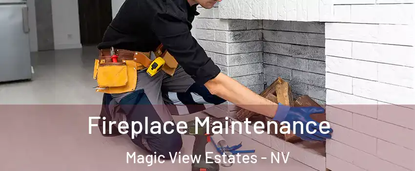 Fireplace Maintenance Magic View Estates - NV