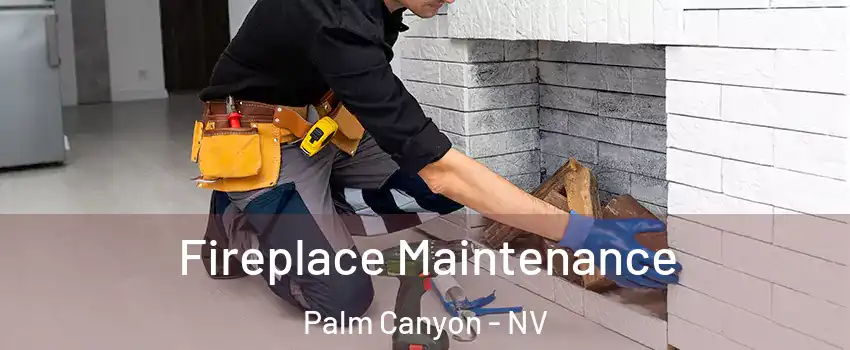 Fireplace Maintenance Palm Canyon - NV