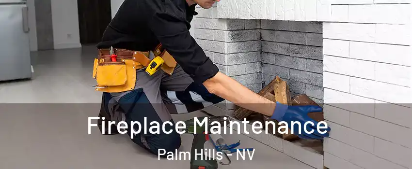 Fireplace Maintenance Palm Hills - NV