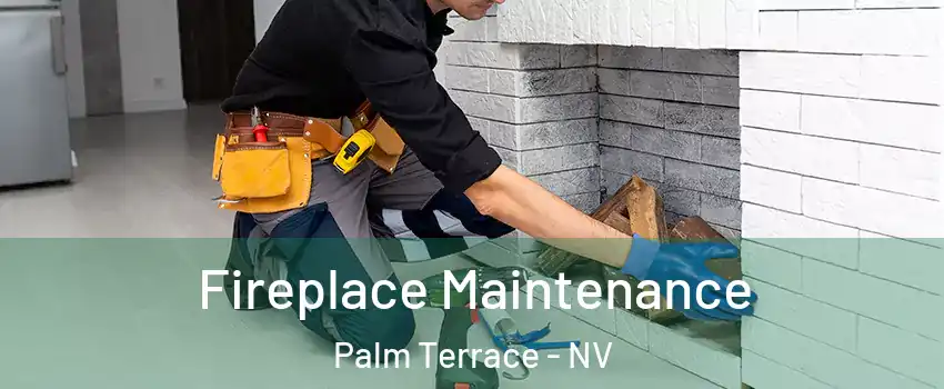 Fireplace Maintenance Palm Terrace - NV