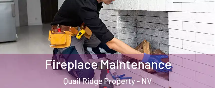 Fireplace Maintenance Quail Ridge Property - NV