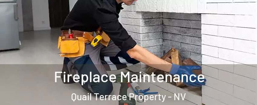 Fireplace Maintenance Quail Terrace Property - NV