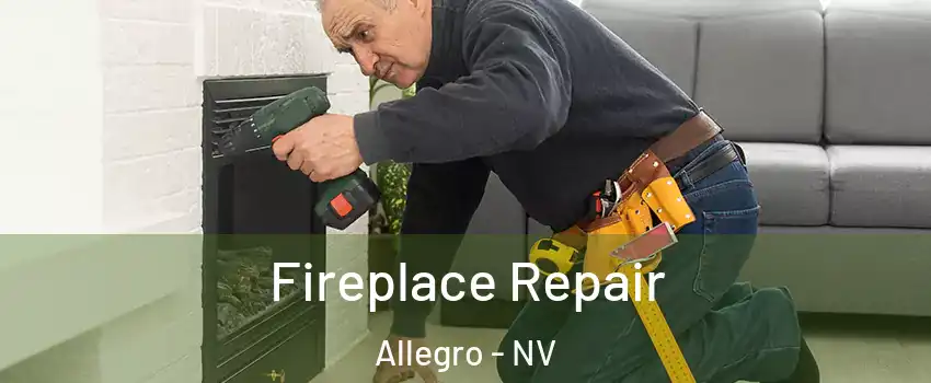 Fireplace Repair Allegro - NV