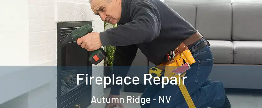 Fireplace Repair Autumn Ridge - NV