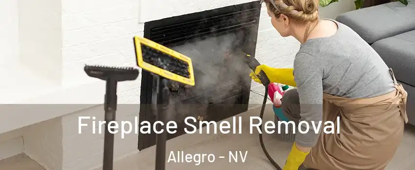 Fireplace Smell Removal Allegro - NV