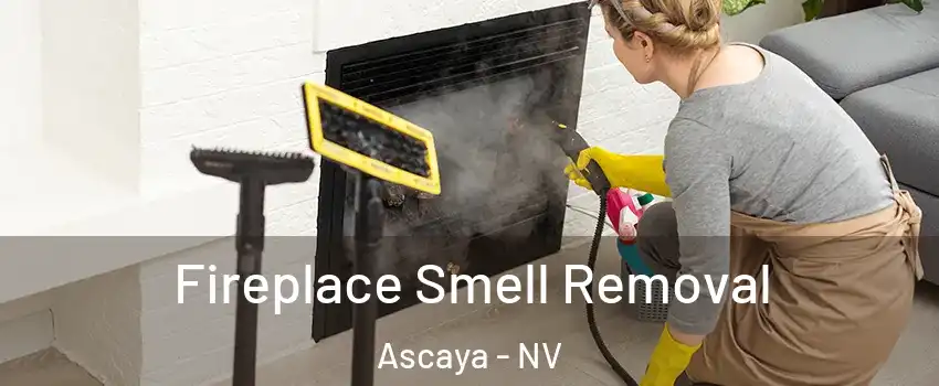 Fireplace Smell Removal Ascaya - NV