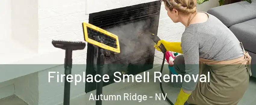 Fireplace Smell Removal Autumn Ridge - NV