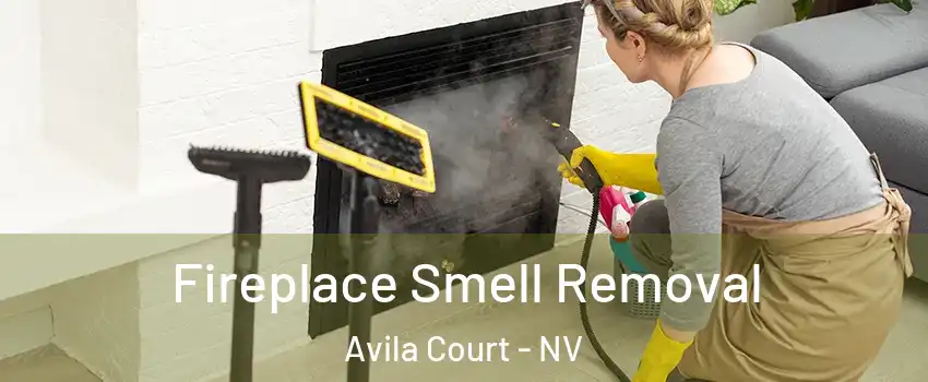 Fireplace Smell Removal Avila Court - NV