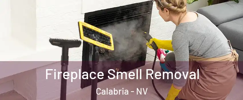 Fireplace Smell Removal Calabria - NV