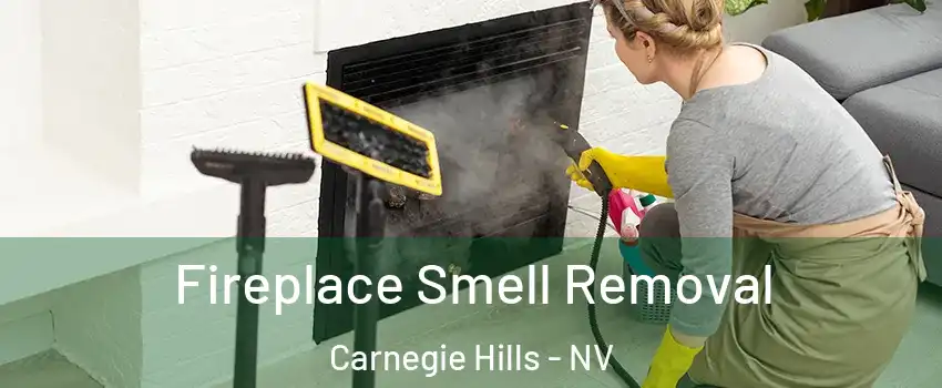 Fireplace Smell Removal Carnegie Hills - NV