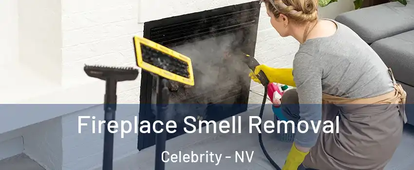 Fireplace Smell Removal Celebrity - NV