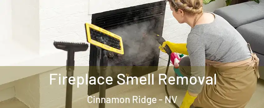 Fireplace Smell Removal Cinnamon Ridge - NV