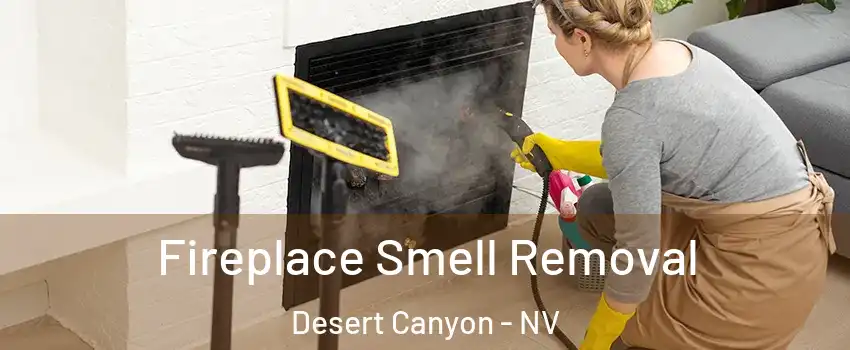 Fireplace Smell Removal Desert Canyon - NV