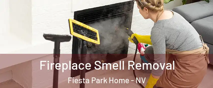 Fireplace Smell Removal Fiesta Park Home - NV