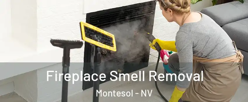 Fireplace Smell Removal Montesol - NV