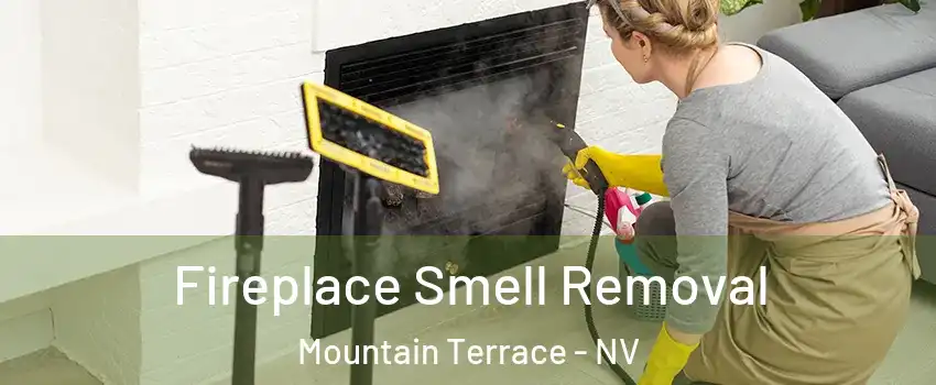 Fireplace Smell Removal Mountain Terrace - NV