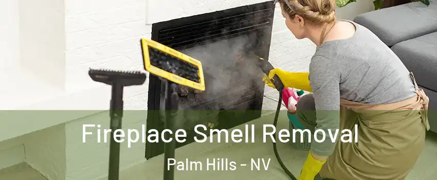 Fireplace Smell Removal Palm Hills - NV