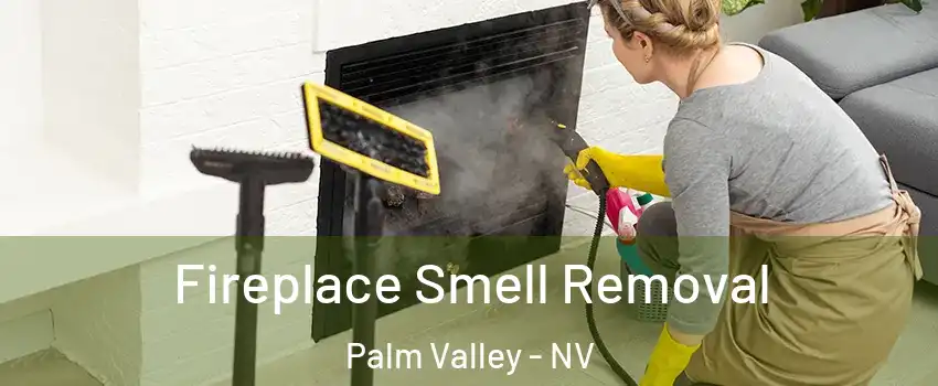 Fireplace Smell Removal Palm Valley - NV