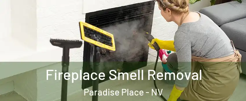 Fireplace Smell Removal Paradise Place - NV