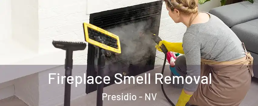 Fireplace Smell Removal Presidio - NV