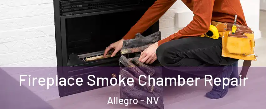 Fireplace Smoke Chamber Repair Allegro - NV